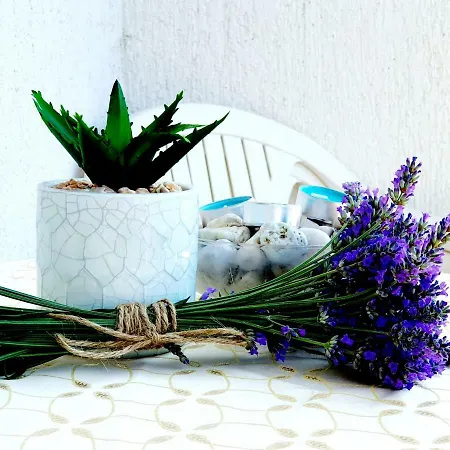 Kantrida- Antea * Fiume