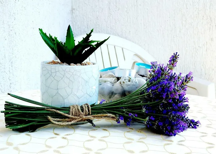 Kantrida- Antea * 리예카